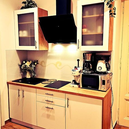 Studio Apartman Villa Gianna ロヴラン エクステリア 写真