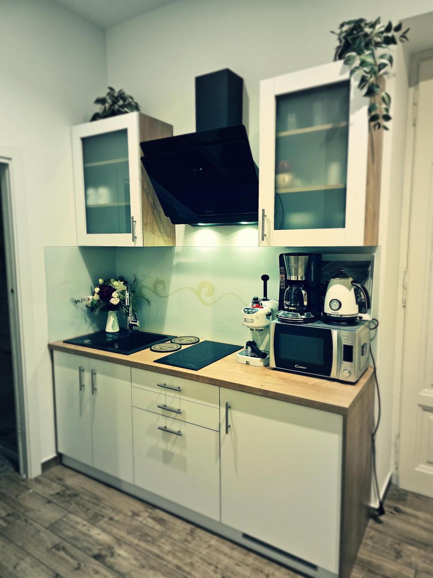 Studio Apartman Villa Gianna ロヴラン エクステリア 写真