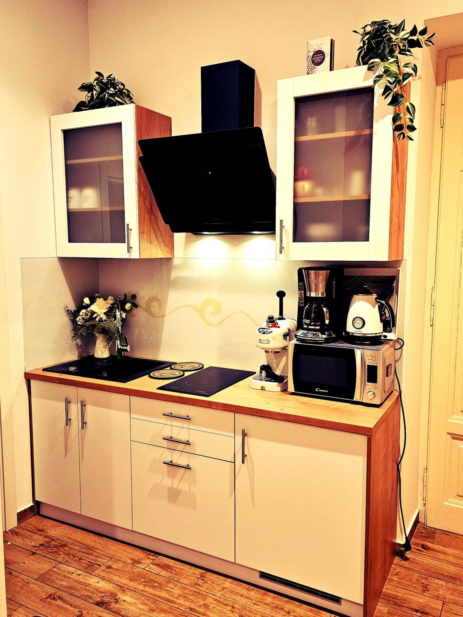 Studio Apartman Villa Gianna ロヴラン エクステリア 写真
