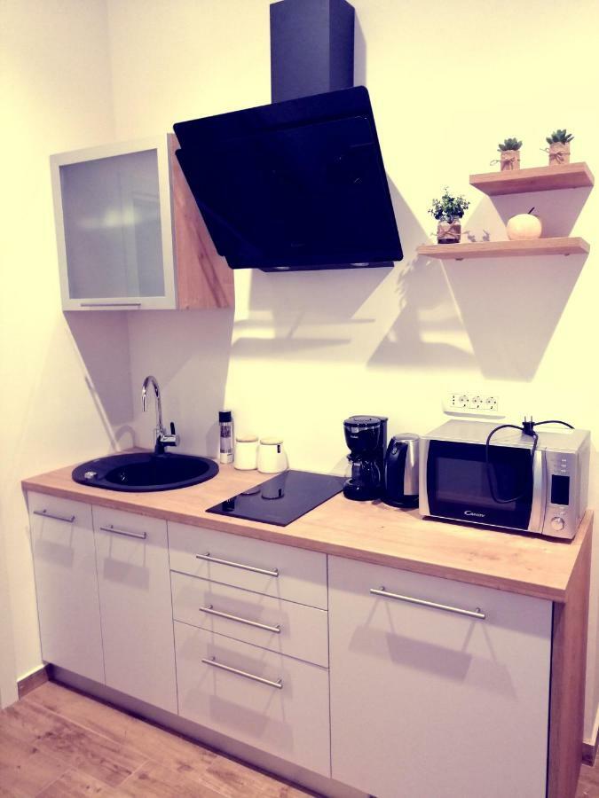 Studio Apartman Villa Gianna ロヴラン エクステリア 写真