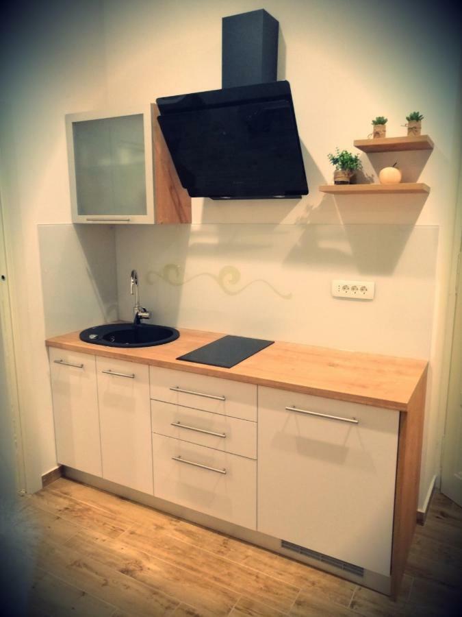 Studio Apartman Villa Gianna ロヴラン エクステリア 写真
